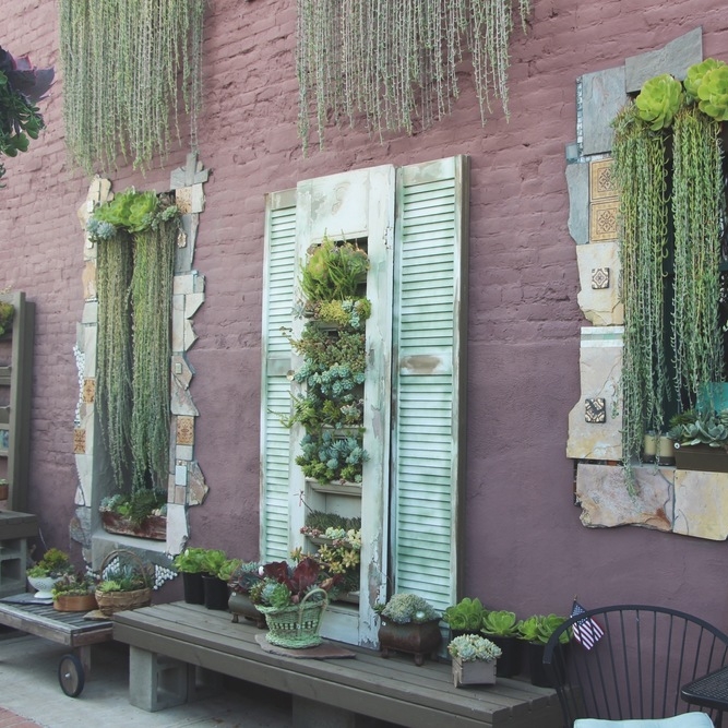Succulent Cafe Oceanside: A Living Masterpiece